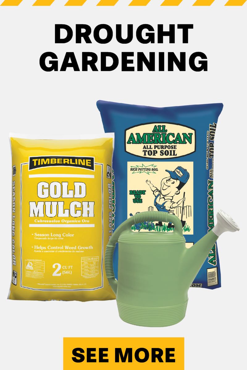 Drought Gardening